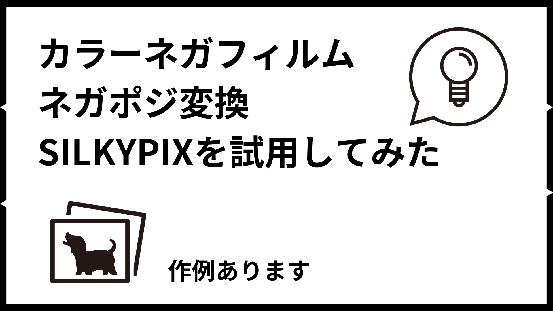 カラーネガフィルム ネガポジ変換 SILKYPIXを試用してみた