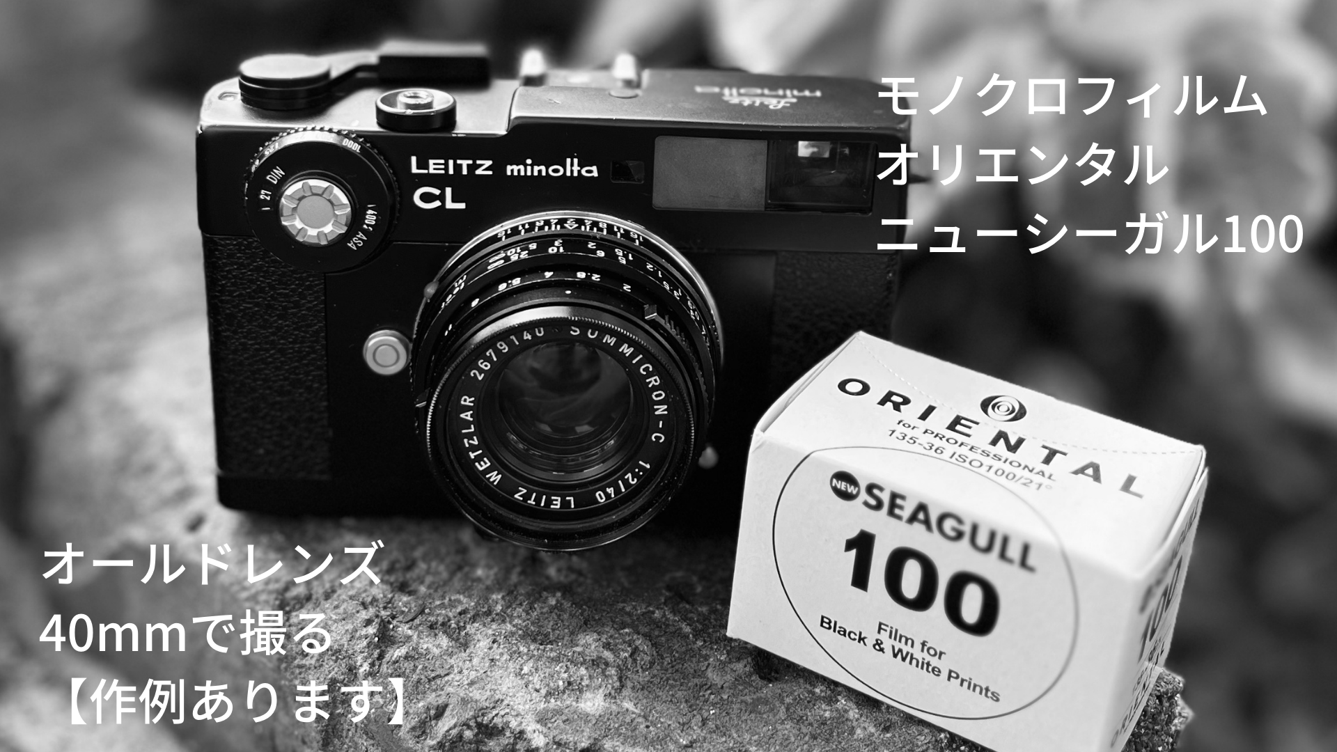 破格値下げ】 オリエンタル ニューシーガル VC-FBIII 8×10 六切 100枚